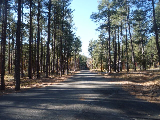 PRESCOTT DEARING PARK 2
