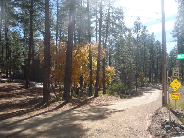 PRESCOTT HIGHLAND PINES 2
