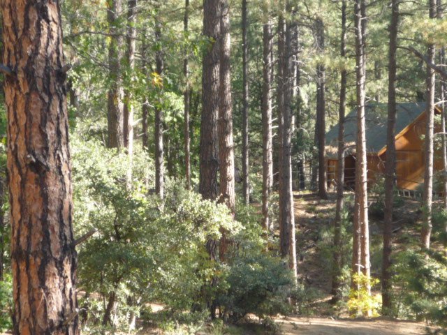 PRESCOTT HIGHLAND PINES